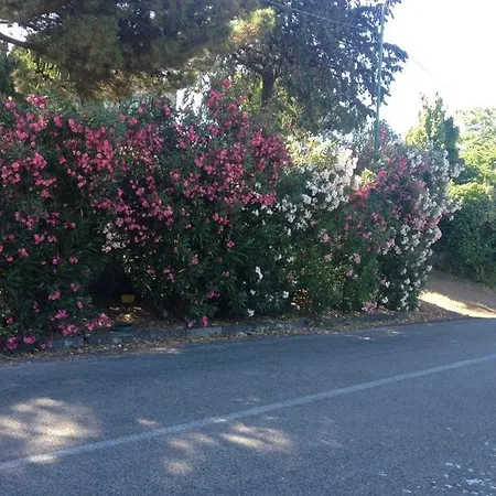 Διαμέρισμα Gianna