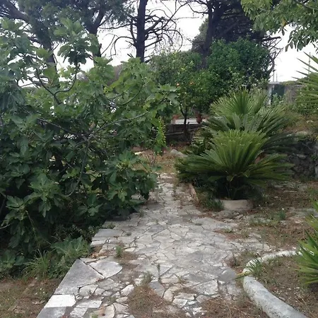 Gianna * Ερκολάνο